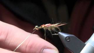 Fly Tying Lesson  Golden Stonefly Nymph Part 1 [upl. by Shutz616]