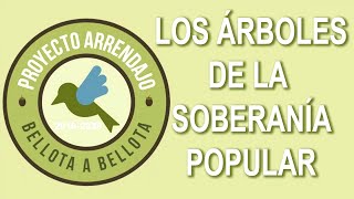 PROYECTO ARRENDAJO LOS ÁRBOLES DE LA SOBERANIA POPULAR [upl. by Bullion]