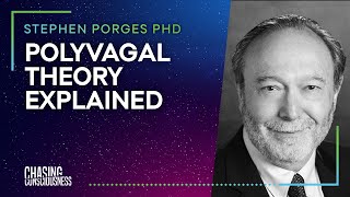 POLYVAGAL THEORY EXPLAINED Stephen Porges PHD 5 [upl. by Leay]