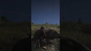 Red Dead Redemption 2 Hay que ser sigiloso con los O´driscolls [upl. by Kcirderf]