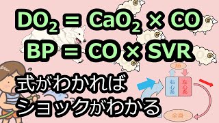 【ショック】ショック診療で避けては通れない循環の話【酸素供給量、心拍出量、動脈血酸素含有量、灌流圧】 [upl. by Inami]