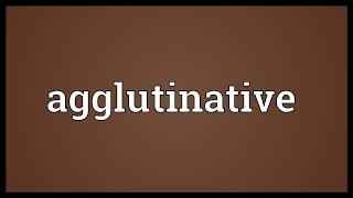 Agglutinative Meaning [upl. by Aiotal]