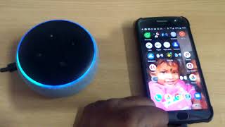 Alexa Echo as Bluetooth speaker [upl. by Dorinda]