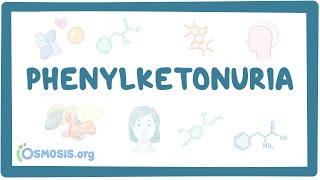 Phenylketonuria  causes symptoms diagnosis treatment pathology [upl. by Ittak347]