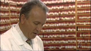 How does Homeopathy Work part 1 [upl. by Libbey695]