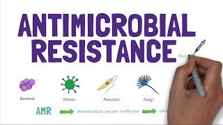 Antimicrobial Resistance AMR Stopping the rise of superbugs [upl. by Aristotle533]