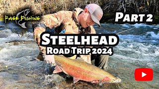 STEELHEAD ROAD TRIP PART 2  MY MOST EPIC STEELHEAD FIGHT  BRADEN LANDS HIS FIRST STEELHEAD [upl. by Krantz967]