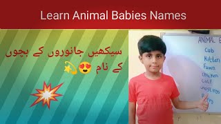 Learn Animals Babies Names [upl. by Ridglee]