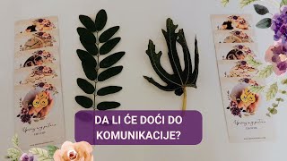 Da li ce doći do komunikacije 😉 [upl. by Aynodal]