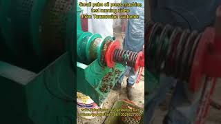 500kgh red palm oil expeller machine running video in Tanzansian [upl. by Werra]