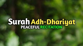 Surah Adh Dhariyat Recited By Omar Hisham Al Arabi [upl. by Acsicnarf]