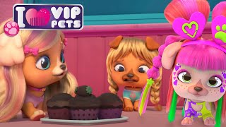 VIP PETS Season 1 Adventures Full Episodes of ALL S1 Compilation 🌈 Enjoy Cartoons for Kids [upl. by Deeyn526]