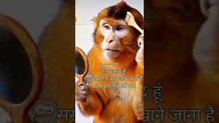 ससुराल की इतनी खुशी🤗😄😄✨️💯💯🤣🤣 funny comedyfilms [upl. by Rickey]