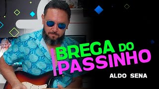 Brega do Passinho Aldo Sena  Cover por Bimartins [upl. by Ibed577]