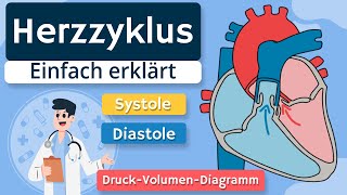 Herzzyklus  Systole Diastole und DruckVolumenDiagramm einfach erklärt [upl. by Cohlier]