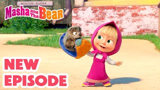 Masha and the Bear 2024 🎬 NEW EPISODE 🦔 My CutiePatootie 🥰 🎬 Best cartoon collection [upl. by Silyhp]