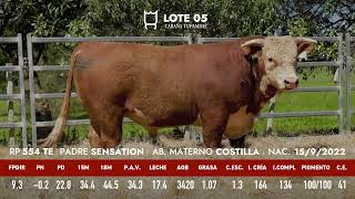 Lote 5 Toro astado PI RP 554 TE [upl. by Fitting]