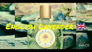 Atkinsons English Lavender 🇬🇧 1837 by Atkinsons Fragrance Review [upl. by Einnov]