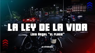 La ley de la vida  Luis angel quotEl Flacoquot LetraLyrics [upl. by Lyontine]