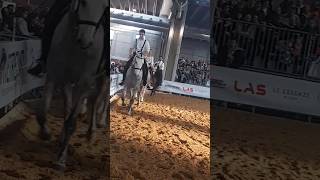 horse cavalli fieracavalliverona [upl. by Aihtenyc]