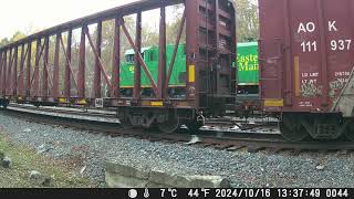 241020 South Facing Backyard Railcam [upl. by Sophie276]