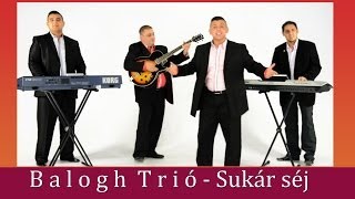 Balogh Trió Joci Sukár séj Official zgstudio video [upl. by Iseabal]