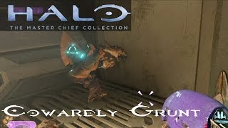 Master Chief Collection Halo 2 quotCowardly Grunt AchievementEaster Eggquot [upl. by Tnek]