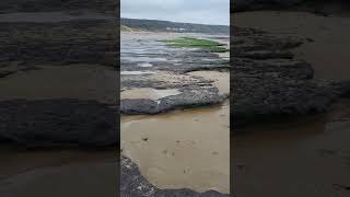 V77 Port Eynon beach  South Wales gower wales visitwales [upl. by Pembroke]