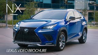 The 2019 Lexus NX Walk Around Video [upl. by Haerdna342]