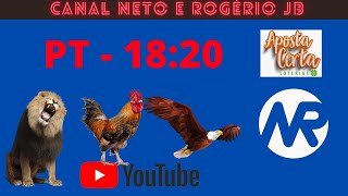 RESULTADO AO VIVO ROGERIO E NETO JB  PTN  12122024 [upl. by Ridinger340]