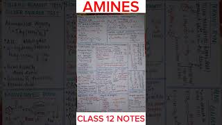 AMINES Class 12 Notes  Handwritten Notes [upl. by Eisaj689]