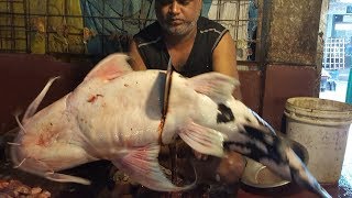 Dwarf Goonch Wallago amp Two Pangas Fish Cut Into Pieces in Fish Market By Fishmonger 2017 [upl. by Hars]