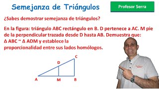 SEMEJANZA DE TRIÁNGULOSEJERCICIO 1 [upl. by Teahan]