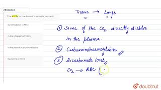 The CO2 in the blood is mostly carried  12  KVPY  BIOLOGY  KVPY PREVIOUS YEAR  Doubtnut [upl. by Yerok]