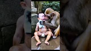 The baby was playing alone and his body was dirty and covered in mud Brother Monkey reluctantly [upl. by Akihsan]