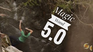 Orrin Coley  Magic Wood 50 [upl. by Doxia]