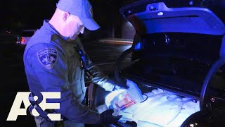 Live PD Top 5 Busts  AampE [upl. by Seda634]