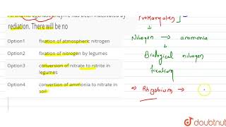 All the nitrogenase enzyme has been inactivated by rediation There will be no [upl. by Annaiviv975]