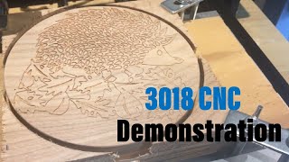 3018 Pro CNC Demo [upl. by Yaner964]