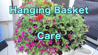 Hanging Basket Care  HowTo Maintain your Hanging Baskets  Pruning [upl. by Enyehc]