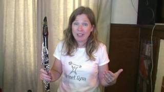 A Clarinet Practise Guide  Succeed More Quickly [upl. by Johathan455]