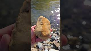 James Found A Beautiful Stromatolite Fossil riverrocks fossils [upl. by Erland]