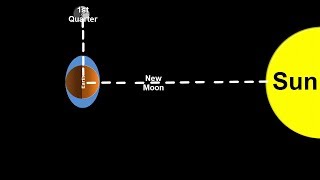 Space Science Tutorial Spring and Neap Tides [upl. by Alyn156]