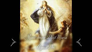 Missa Super Dixit Maria  Hassler  Agnus Dei [upl. by Citron]