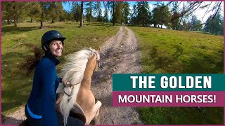 Equestrian Rides the Haflinger in South Tyrol [upl. by Huber125]