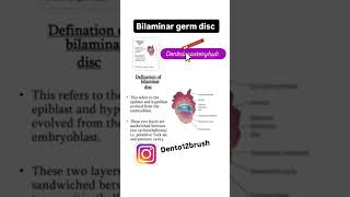 bilaminar layer germ disc dentalmasteryhub dentalstudenteducation dentist youtubeshorts [upl. by Joshi403]