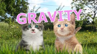 Gravity  Rathergood Chat episode 18 [upl. by Arah771]