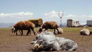 Yezidis  Եզդիներ [upl. by Quintina]