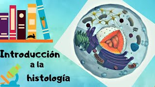 Introducción a la HistologíaConceptos básicos  DOCTOLOGO 🥕 [upl. by Krock570]