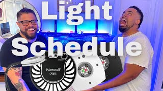 Light Schedule [upl. by Oirazan]